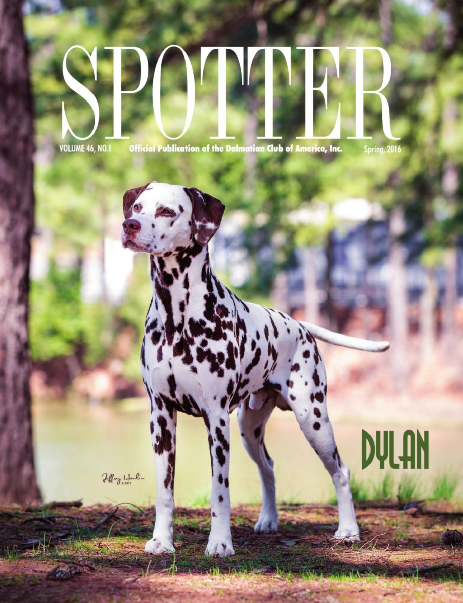 99 dalmatians staten island