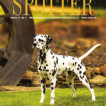 Spotter Cover Winter 2023